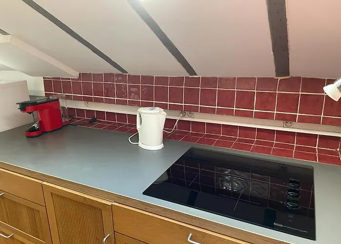 Chez Fabien Apartment Pau